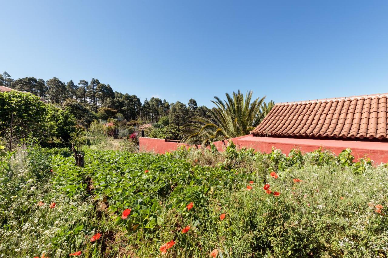Casa Buganvillas, Reformado ปุนตากอร์ดา ภายนอก รูปภาพ